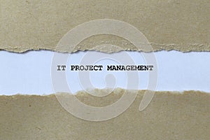 it project management on white paper