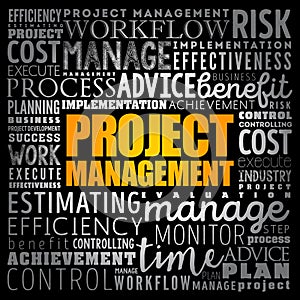 Project Management word cloud collage