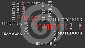 Project Management word cloud concept on black background