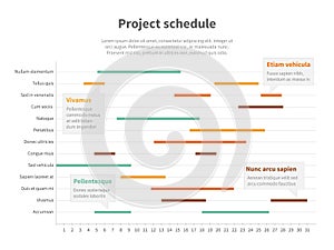 Project plan schedule chart with timeline, gantt progress vector graph