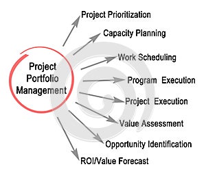 Project Portfolio Management