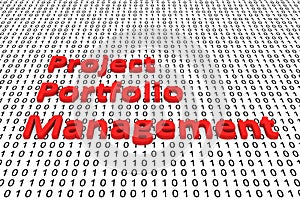 Project portfolio management