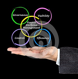 Project Portfolio Management