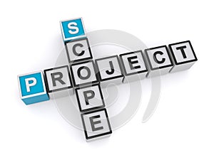 Project scope