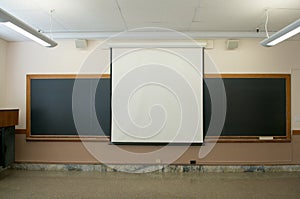 Projector Screen