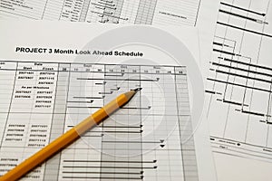 Projects schedule look ahead