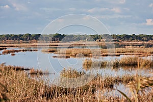 Prokopos Lagoon photo