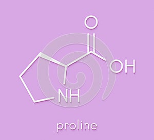 Proline l-proline, Pro amino acid molecule. Skeletal formula.