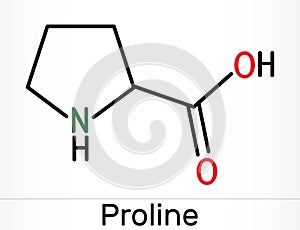 Proline, L - proline, Pro proteinogenic amino acid molecule.  Skeletal chemical formula