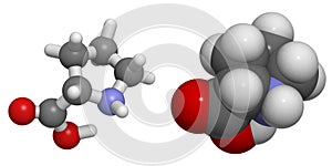 Proline (Pro, P) molecule