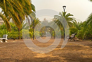 Promenade alley in a public park covered with sand storm, calima. Tenerife, Spain photo