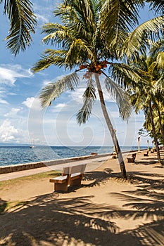 The promenade along Rizal Boulevard, City of Dumaguete, Negros Oriental, Philippines