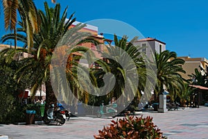 Promenade with beautiful palms in Chania on Crete