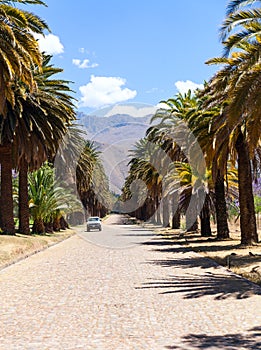 Promenade in bolivian city Santa Cruz , which is stretched alongside in the mountens.