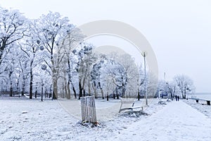 Promenade in Bratislava park in a snowy winter day, Sad Janka Kr