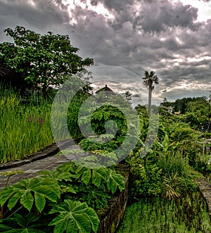 Tropical garden. Promenade dans un jardin tropical. DÃÂ©cor asiatique. Asian garden photo