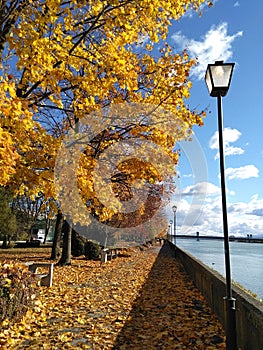 Promenade By Drava River In Autumn In Ptuj, Slovenia