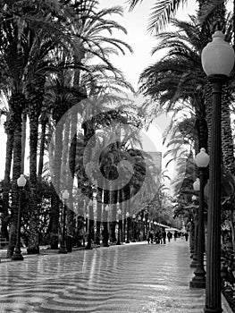 The promenade Explanada, Alicante, Costa Blanca, Spain