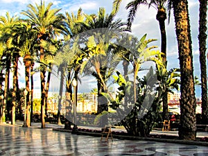 The promenade Explanada, Alicante, Costa Blanca, Spain photo