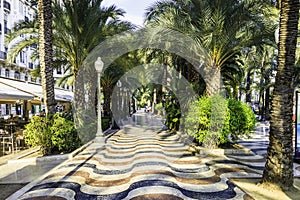 Promenade Explanada - alley of palm trees Alicante, Spain