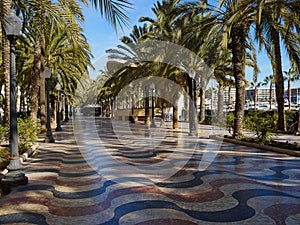 Promenade Explanada the main and famous tourist street Alicante photo