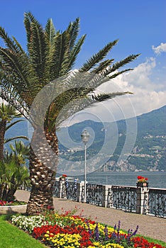 Promenade from Menaggio,Lake Como