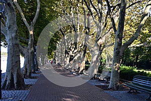 Promenade in Park at Lake Tegeler See in Autumn in the Neighborhood of Tegel in Berlin