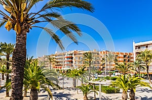 Promenade park with palm trees at Port de Alcudia on Majorca, Spain