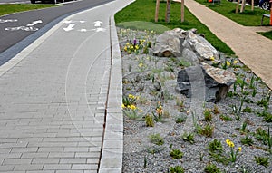 promenade for pedestrians and cyclists with a dividing