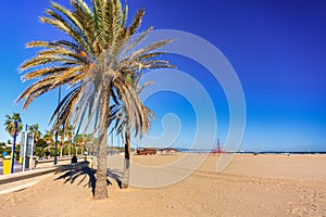 Promenade by the Playa de las Arenas beach in Valencia at sunrise, Spain