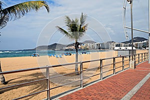 Promenade of red bricks with palm trees with view of sandy beach and ocean. Las Palmas