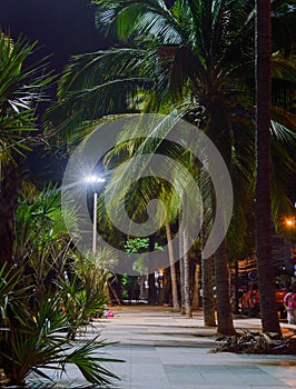 Promenade walkway along Jomtien Pattaya Beach at night time after reconstruction.
