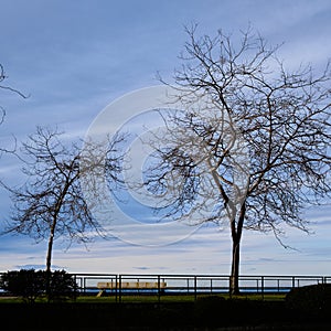 The Promenade.  White Rock waterfront, BC, Canada