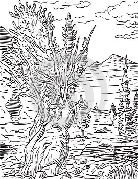 Prometheus Tree and Wheeler Peak in Great Basin National Park Nevada Woodcut Black and White