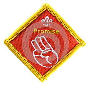 Promise - Scout activity badge