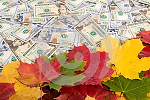 Promotion sale concept background with dollars money and colorful autumn leaves