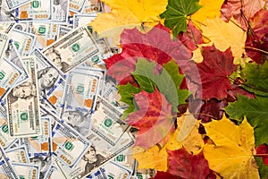 Promotion sale concept background with dollars money and colorful autumn leaves