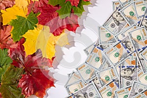 Promotion sale concept background with dollars money and leaves