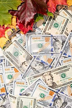 Promotion sale concept background with dollars money and leaves