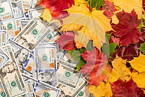 Promotion sale concept background with dollars money and leaves