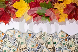 Promotion sale concept background with dollars money and leaves photo