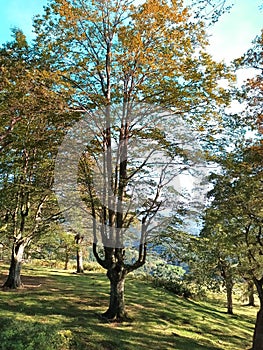 Valley of Baztan photo