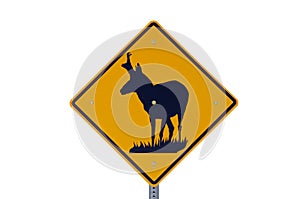 Pronghorn Antelope Sign photo