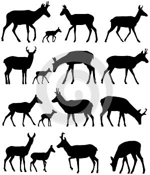 Pronghorn silhouettes