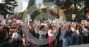 Prop 8 Protest