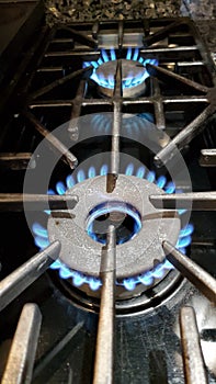 propane gas stove burners with a blue flame photo