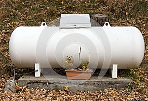 Propane gas tank in a garden.