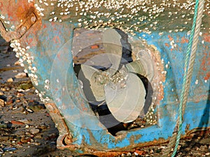 Propeller of boat