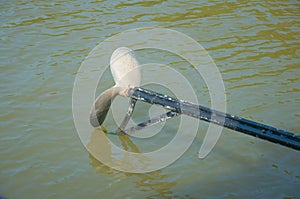 Propeller of boat transport