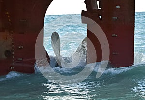 propeller of the ship ran aground. The ship is on the shore